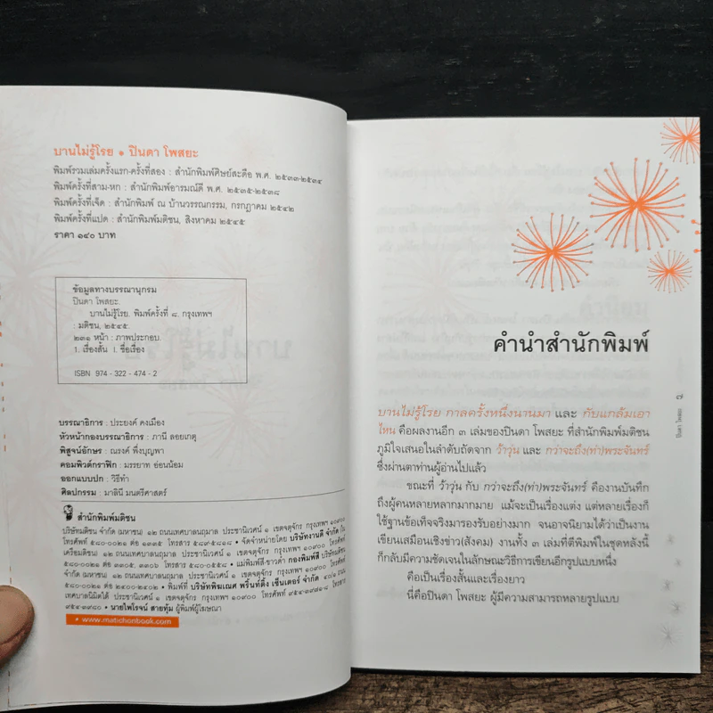 บานไม่รู้โรย - ปินดา โพสยะ รูปที่ 7