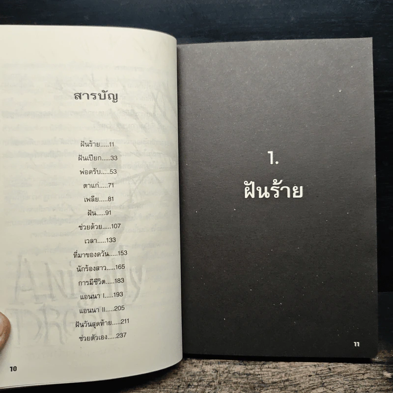 A Nightly Dream ความฝัน-วัน-มะรืน - ศรัทธา แสงทอน รูปที่ 8