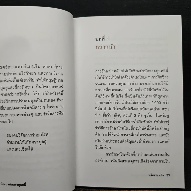 ไท้เก็กซี่กงบำบัดตระกูลหลี่ - อาจารย์หลี่เหว่ยหมิง รูปที่ 8