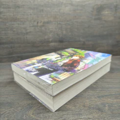 Witchoar เปลวไฟแห่งเนโคร เล่ม 1-2 - กัลฐิดา รูปที่ 3