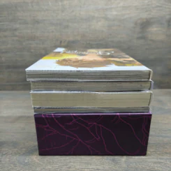 Boxset Glodano 's Tale นวนิยาย 1 เล่ม + การ์ตูน 2 เล่ม + Concept Art - กัลฐิดา รูปที่ 4