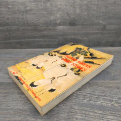 Modern Korean Short Stories รูปที่ 3