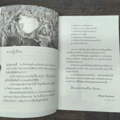 ธรรมชาติชีวิต - ศิริพงษ์ จันทร์หอม รูปที่ 7