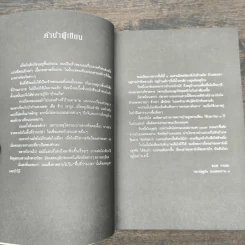 รอยเท้าบนภูเขา - ธเนศ งามสม รูปที่ 8