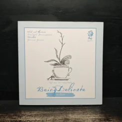 BEING DELICATE ละเลียด - คณิตศาสตร์ เสมานพรัตน์ รูปที่ 1