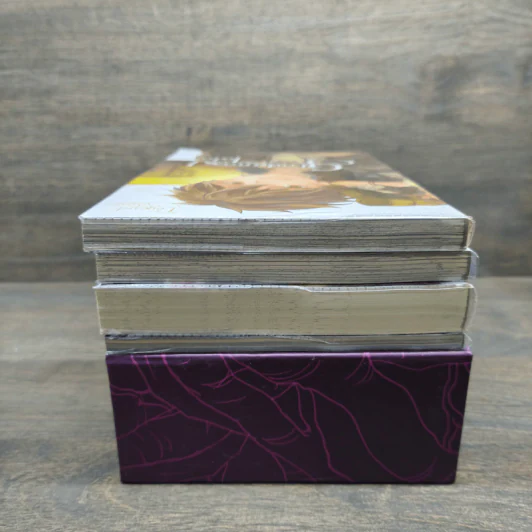Boxset Glodano 's Tale นวนิยาย 1 เล่ม + การ์ตูน 2 เล่ม + Concept Art - กัลฐิดา รูปที่ 4