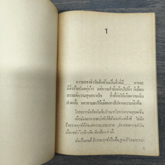 ทะเลน้ำตาล - ช่อลัดา รูปที่ 7