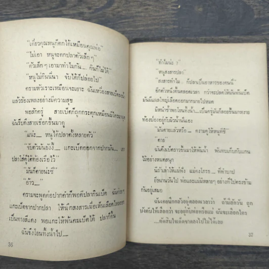 ทะเลน้ำตาล - ช่อลัดา รูปที่ 8