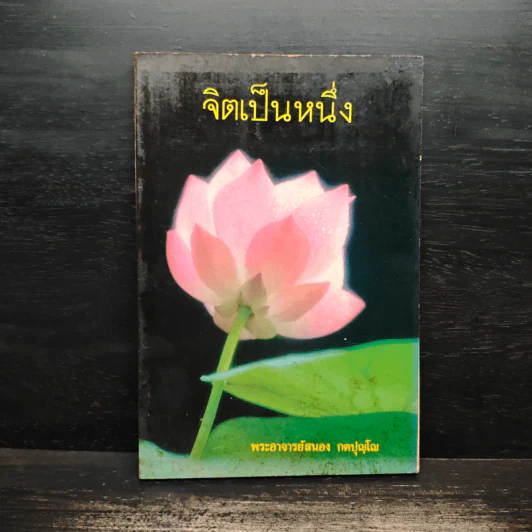 จิตเป็นหนึ่ง - พระอาจารย์สนอง กตปุญโญ รูปที่ 1