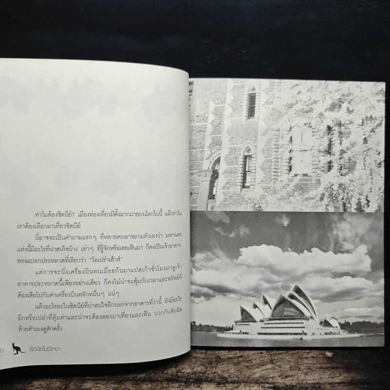 ซิดนีย์ไม่มีเหงา - โชกุน รูปที่ 8