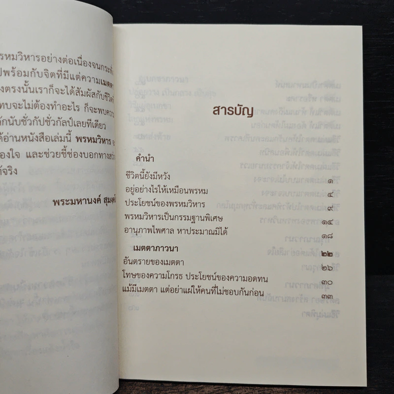 อยู่ อย่าง พรหม - พระมหานงค์ สุมงคโล รูปที่ 8
