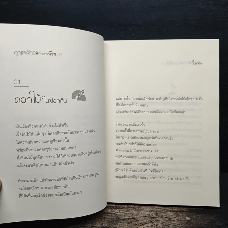 กุญแจสำรองของชีวิต - ลูกปัด รูปที่ 8