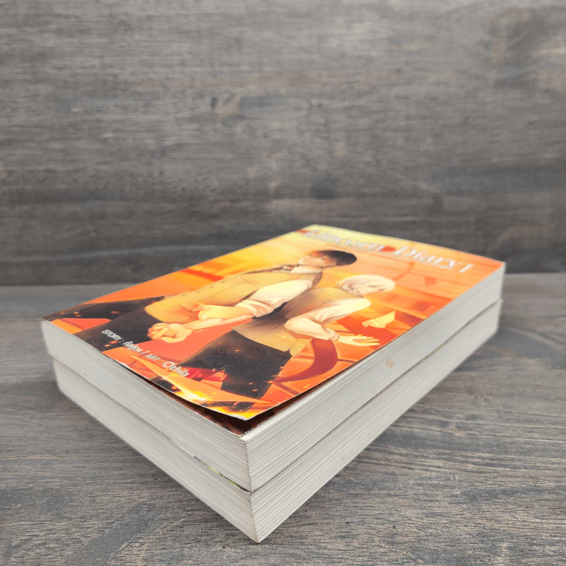 Lincorn Diary ภาคพิเศษของเซวีน่ามหานครแห่งมนตรา 2 เล่มจบ - กัลฐิดา รูปที่ 3