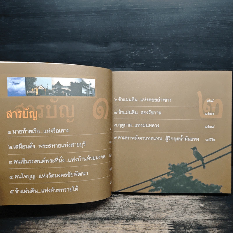 ชีวิตใน...ข้าแผ่นดิน รูปที่ 7