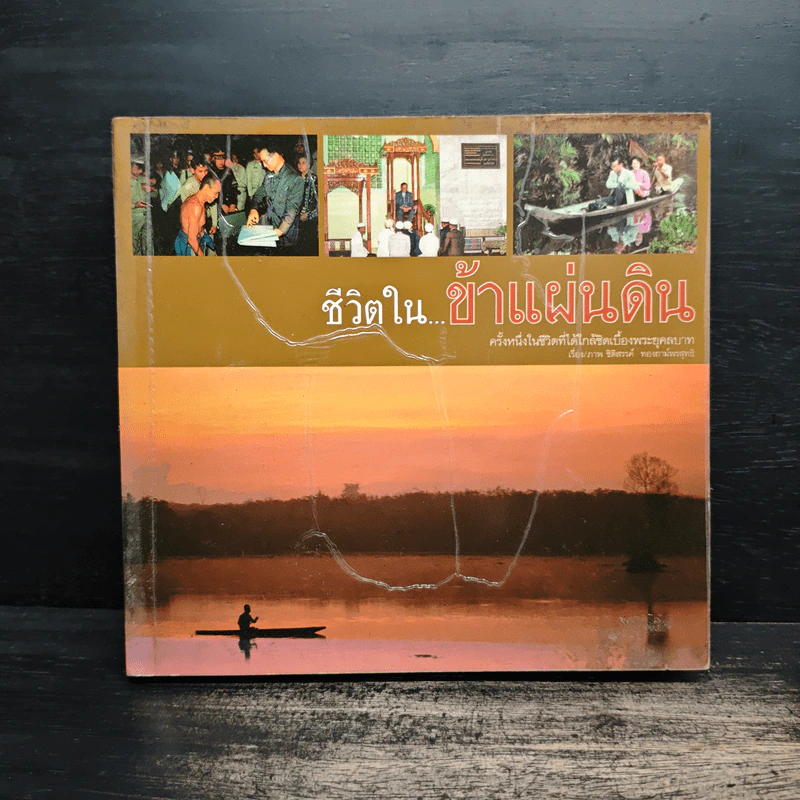 ชีวิตใน...ข้าแผ่นดิน รูปที่ 1