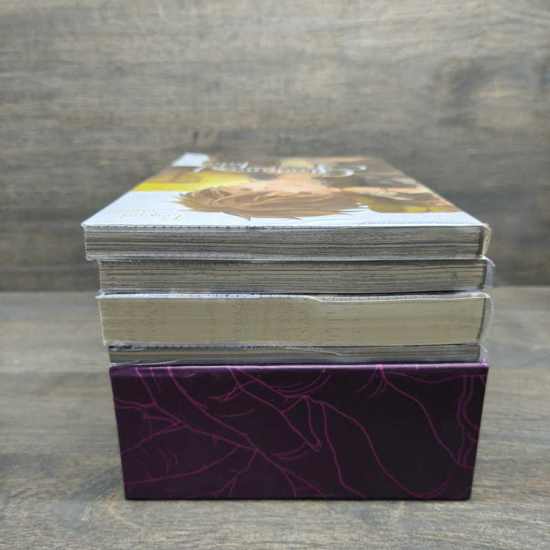 Boxset Glodano 's Tale นวนิยาย 1 เล่ม + การ์ตูน 2 เล่ม + Concept Art - กัลฐิดา รูปที่ 4