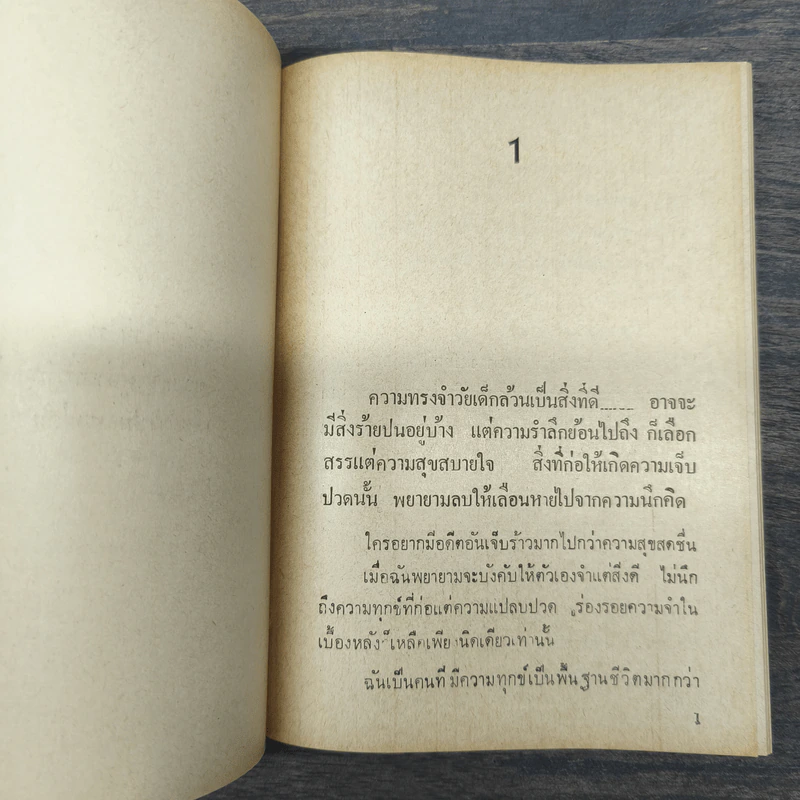 ทะเลน้ำตาล - ช่อลัดา รูปที่ 7