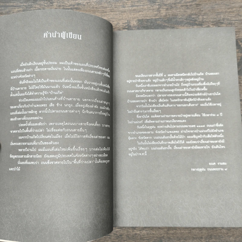 รอยเท้าบนภูเขา - ธเนศ งามสม รูปที่ 8