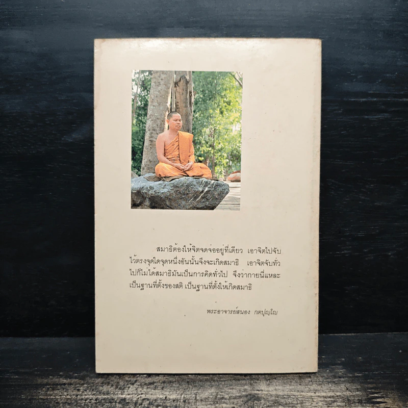 จิตเป็นหนึ่ง - พระอาจารย์สนอง กตปุญโญ รูปที่ 2