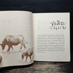 คืนสู่สามัญ ธรรมบรรยาย เล่ม 3 - พระไพศาล วิสาโล รูปที่ 8