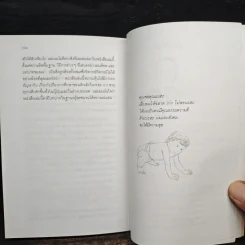 รอให้ถึงอนุบาลก็สายเสียแล้ว - มาซารุ อินุกะ รูปที่ 11