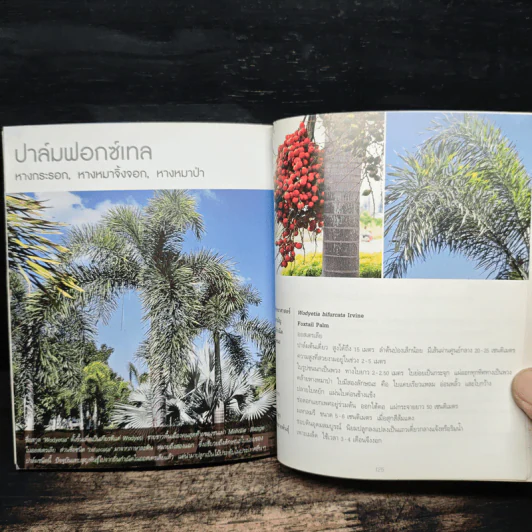 ปาล์ม - อิศรา แพงสี รูปที่ 8