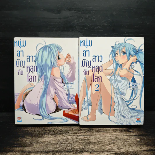 นิยาย หนุ่มสามัญกับสาวหลุดโลก เล่ม 1-2 รูปที่ 1