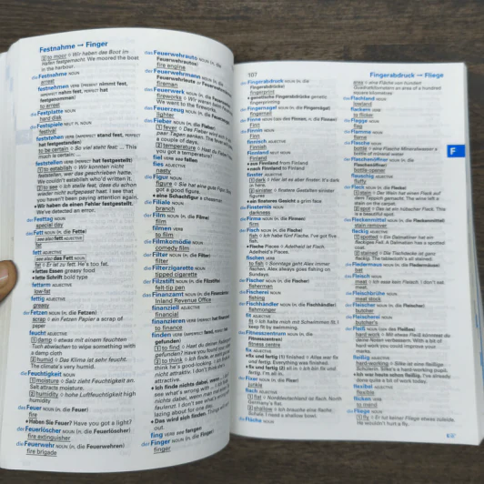 Easy Learning German Dictionary รูปที่ 8