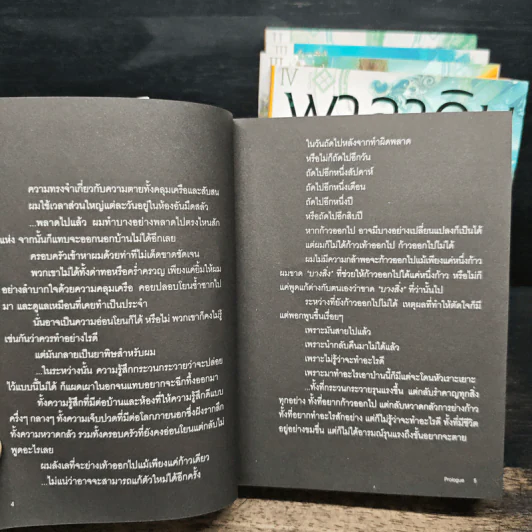 พาลาดิน ยอดอัศวินจากแดนไกล 5 เล่มจบ - ยานางิโนะ คานาตะ รูปที่ 5
