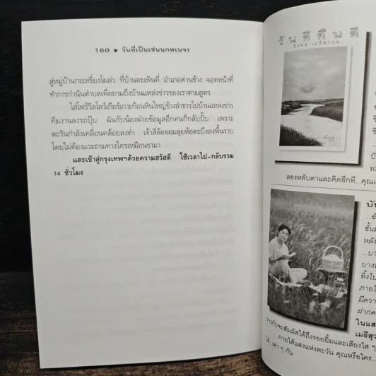 วันที่เป็นเช่นนกพเนจร - นิรมล เมธีสุวกุล รูปที่ 9