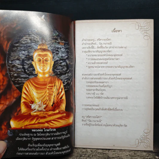 สวดมนต์ภาวนาด้วยหัวใจพระพุทธองค์ รูปที่ 6