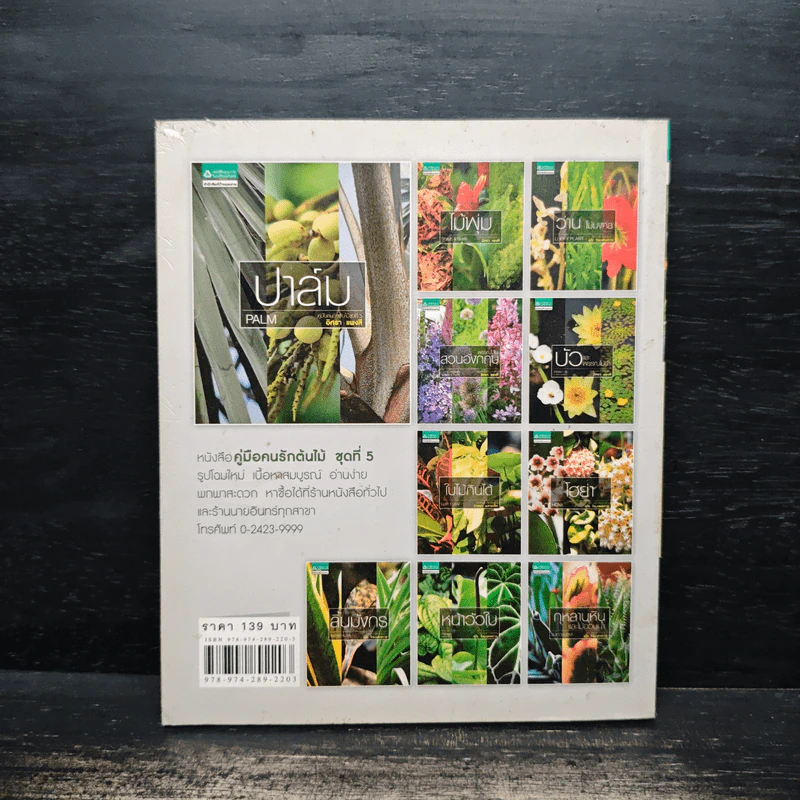ปาล์ม - อิศรา แพงสี รูปที่ 5