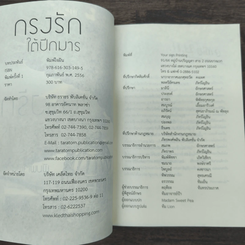 กรงรักใต้ปีกมาร - พิมพ์ใจฝัน รูปที่ 6