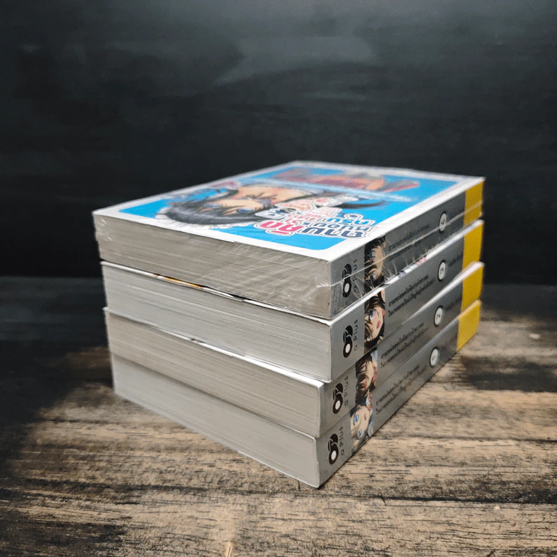 ถามหน่อยครับคิดว่าเจ้าสาวผมในเกมออนไลน์เป็นผู้หญิงจริงรึเปล่า? เล่ม 1-4 รูปที่ 4