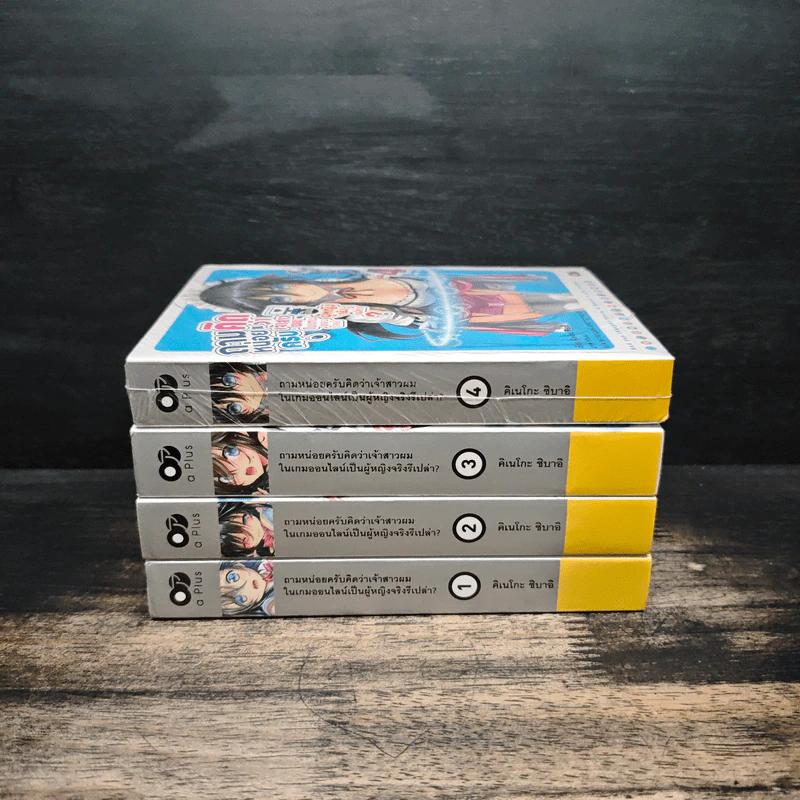 ถามหน่อยครับคิดว่าเจ้าสาวผมในเกมออนไลน์เป็นผู้หญิงจริงรึเปล่า? เล่ม 1-4 รูปที่ 2