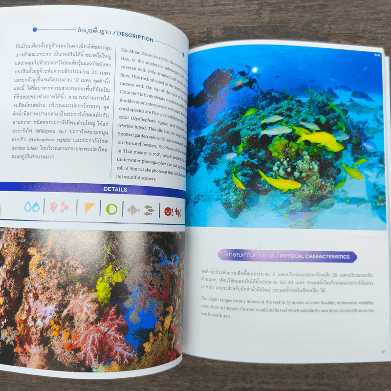 Diving Attractions in Thailand แหล่งดำน้ำที่สำคัญในประเทศไทย รูปที่ 9