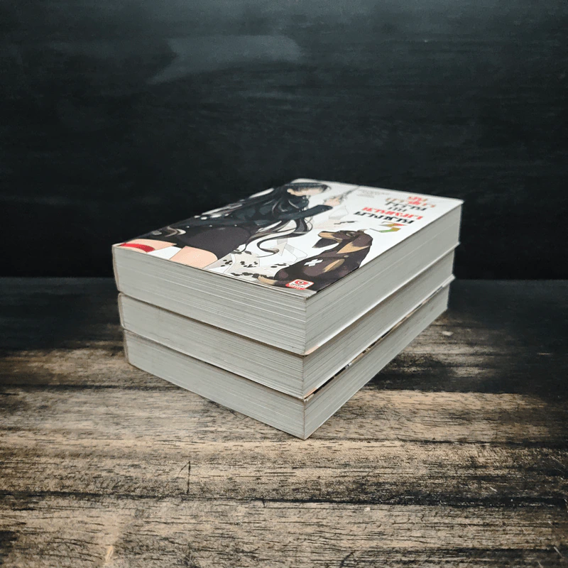 ยัยกรรไกรใจร้ายกับนายหมาดวงซวย เล่ม 1-3 รูปที่ 3