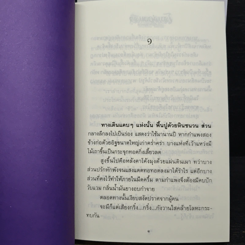 โสมส่องแสง 2 เล่มจบ - โรสลาเรน รูปที่ 8