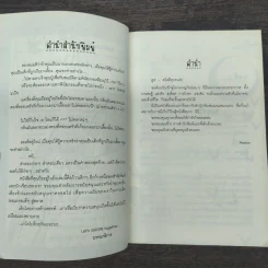 Toxic Syringe ภารกิจพิชิตแวมไพร์ - Peyton รูปที่ 7