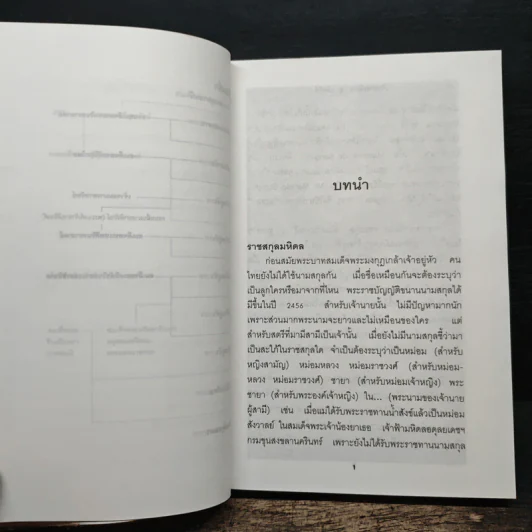 เจ้านายเล็กๆ ยุวกษัตริย์ - กัลยาณิวัฒนา รูปที่ 8
