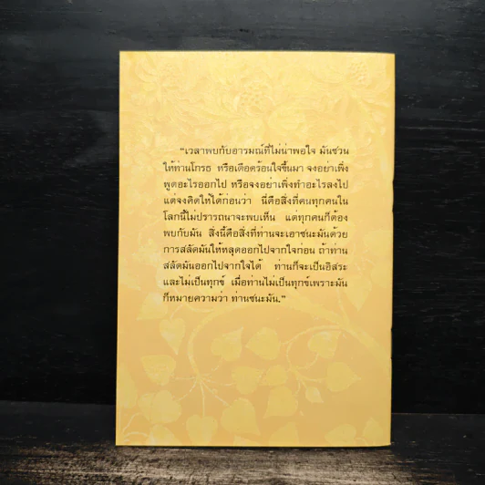คู่มือดับทุกข์ ฉบับสมบูรณ์ รูปที่ 2