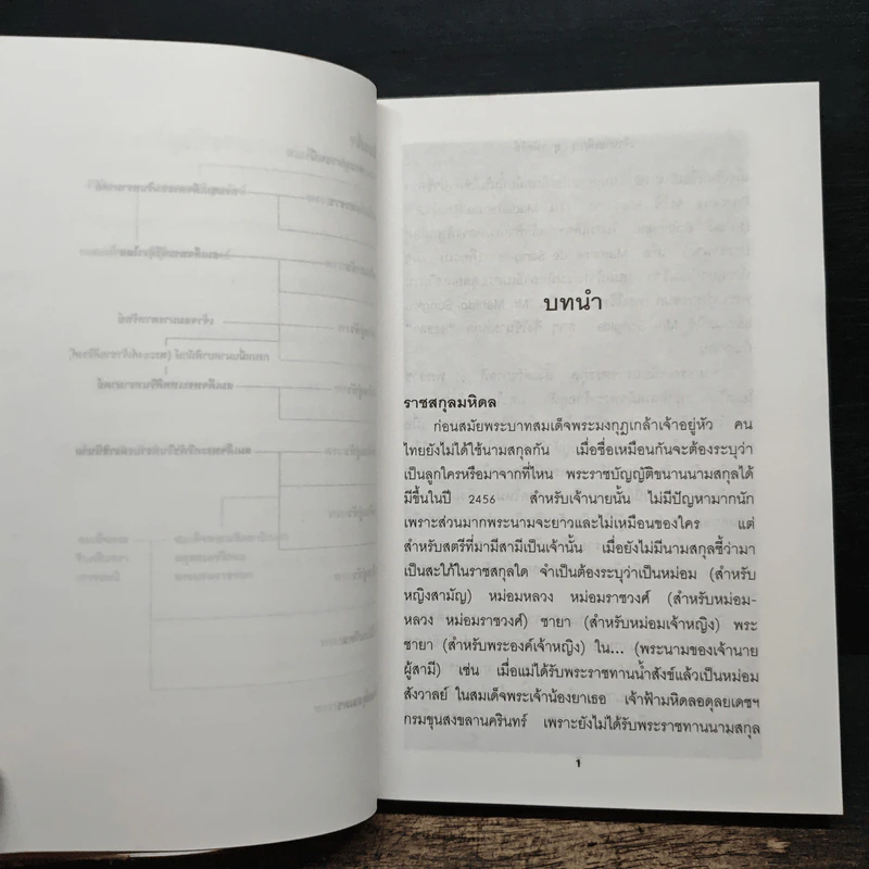 เจ้านายเล็กๆ ยุวกษัตริย์ - กัลยาณิวัฒนา รูปที่ 8
