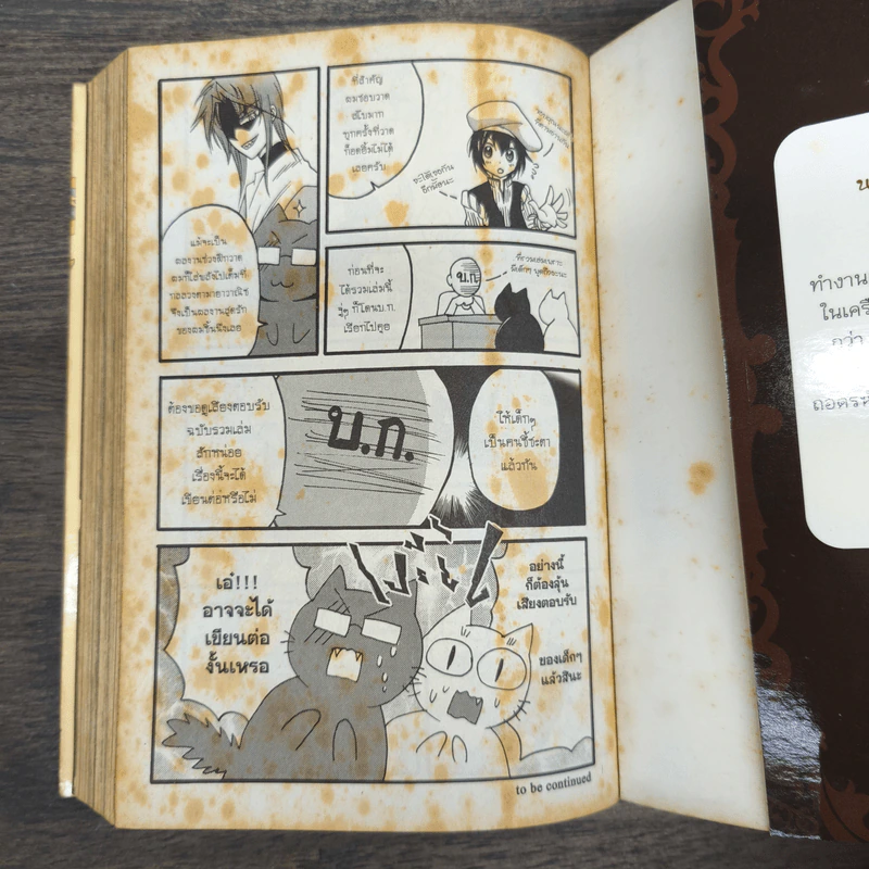 กลลวงตามายาวาณิช Sense & Spice รูปที่ 10