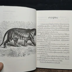 สางสองวิญญาณ - เปลว ปัทมา รูปที่ 7
