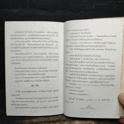 บินแหลกพิเศษ ด้วยธาตุเดียวกัน - อีแร้ง รูปที่ 8