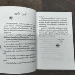 อยากให้เธออารมณ์ดีตลอดปีตลอดชาติ - พรชัย แสนยะมูล 'กุดจี่' รูปที่ 8