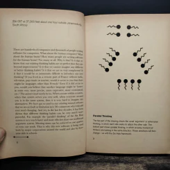 New Thinking for the New Millennium - Edward De Bono รูปที่ 7