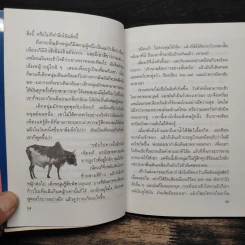 นิทานจากทุ่งกว้างแอฟริกา - แอนน์ แก็ตติ รูปที่ 8