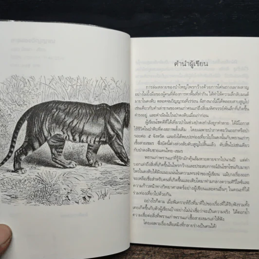 สางสองวิญญาณ - เปลว ปัทมา รูปที่ 7