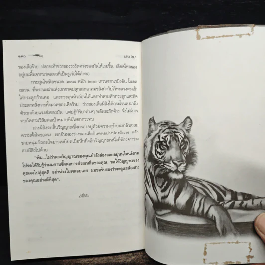 สางสองวิญญาณ - เปลว ปัทมา รูปที่ 9